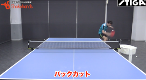 塩野真人の基本バックカット。打つ瞬間に注意しているポイント