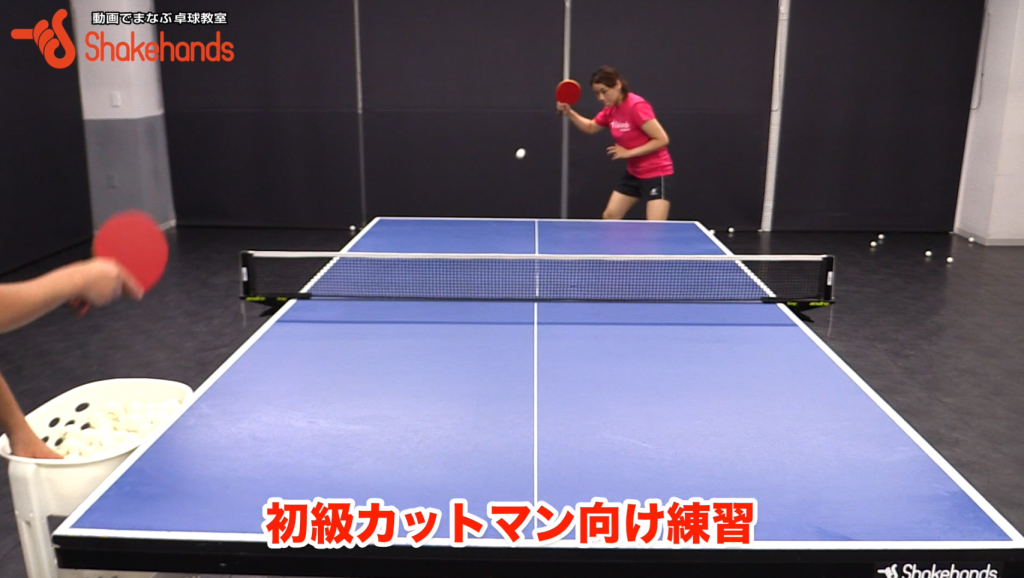 フォア、バックカット。相手のドライブを永遠とカット! by 石垣優香_00