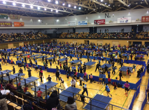 スクリーンショット 2019-01-14 8.13.23