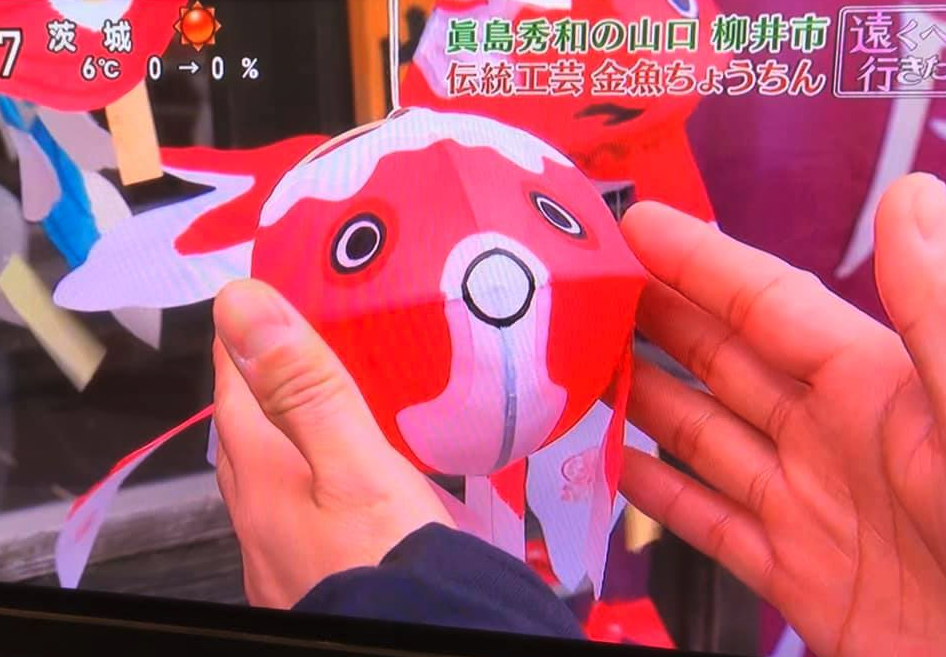 小学生は夏休みに工作するのが必須『金魚ちょうちん』